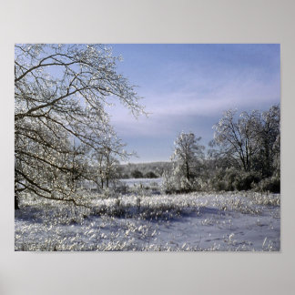 Poster La Tempête De Glace Luit Une Forêt