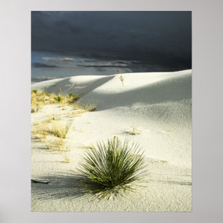 Poster La tempête qui approche