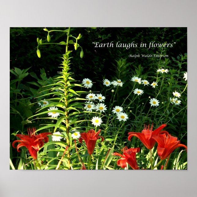Poster La Terre rit (Devant)
