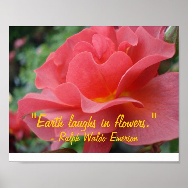 Poster La Terre rit en fleurs (Devant)