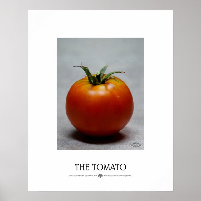Poster La tomate (Devant)