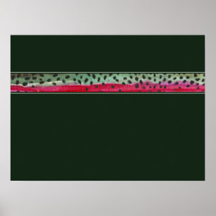 Poster La truite arc-en-ciel