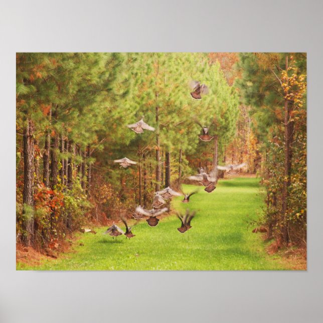 Poster La Turquie en fuite (Devant)