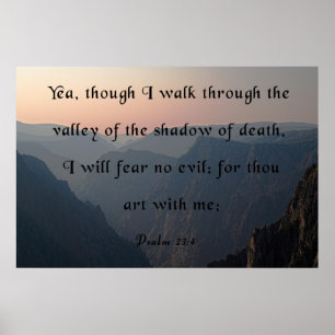 Poster La Vallée de l'ombre de la mort