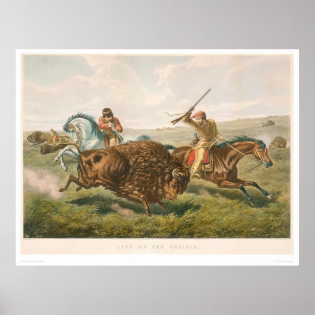 Poster La vie dans les Prairies : La chasse au bison (087 (Devant)