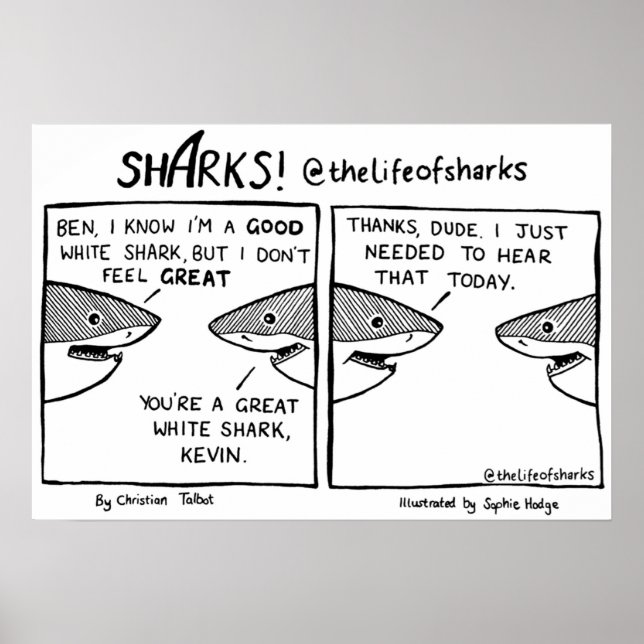 Poster La vie des requins Grand requin blanc (Devant)