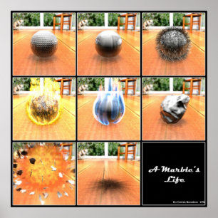 Poster La vie du marbre