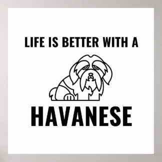 Poster La vie est meilleure avec un havanais