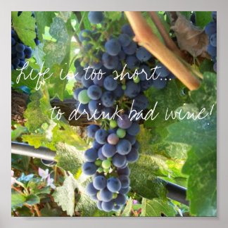 Poster La vie est trop courte...boire du mauvais vin !