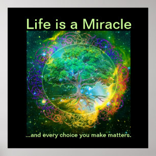 Poster La vie est un miracle