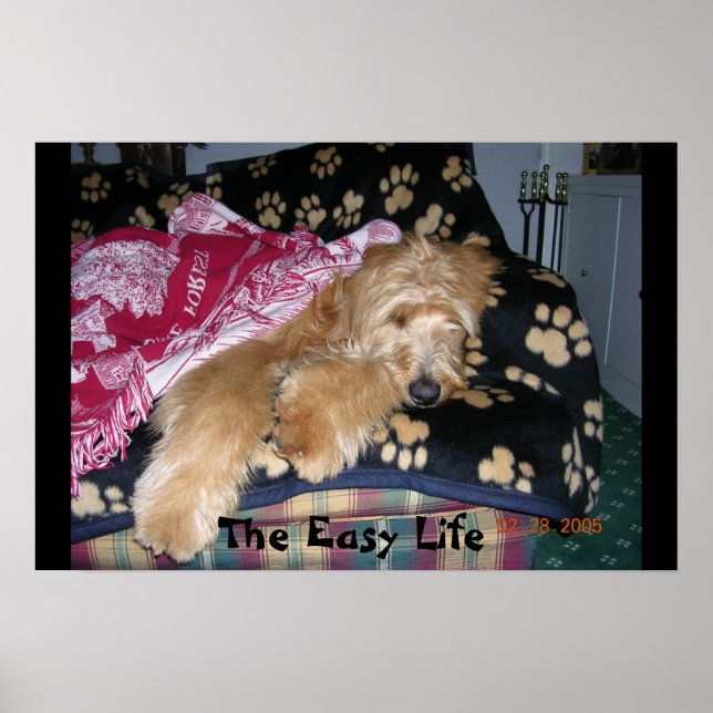 Poster La vie facile (Devant)