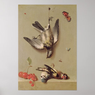 Poster La vie morte des oiseaux morts et des cerises, 171