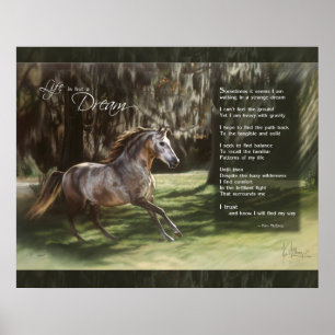 Poster La vie n'est qu'un rêve