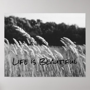 Poster La vie noire et blanche est une belle citation