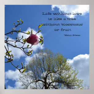 Poster La vie sans amour est comme