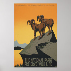 Poster La vie sauvage de conserve de parcs nationaux