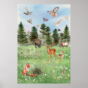 Poster La vie sauvage des animaux de la forêt