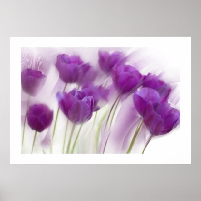 Poster La vie sur toile (Devant)