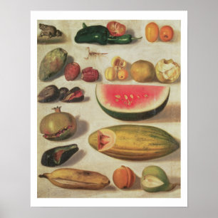 Poster La vie toujours avec le fruit et le crapaud