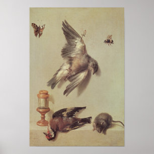 Poster La vie toujours des oiseaux morts et d'une souris,