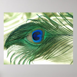 Poster La vie verte de filon-couche de paon d'Apple