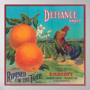 Poster Label Orange DéfianceVenice Cove, CA