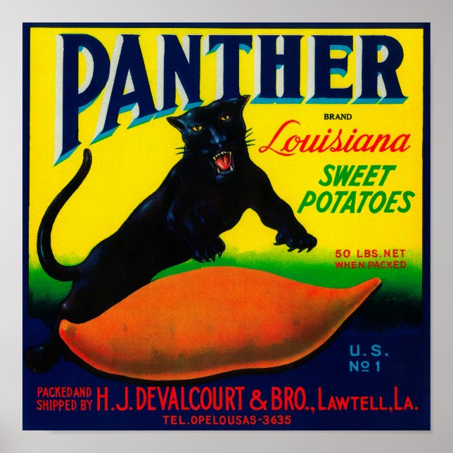Poster Label Panther Yam Lawtell, LA (Devant)