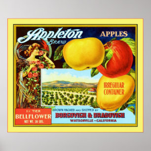Poster Lable vintage Fruit