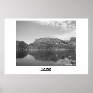 Poster Labrador