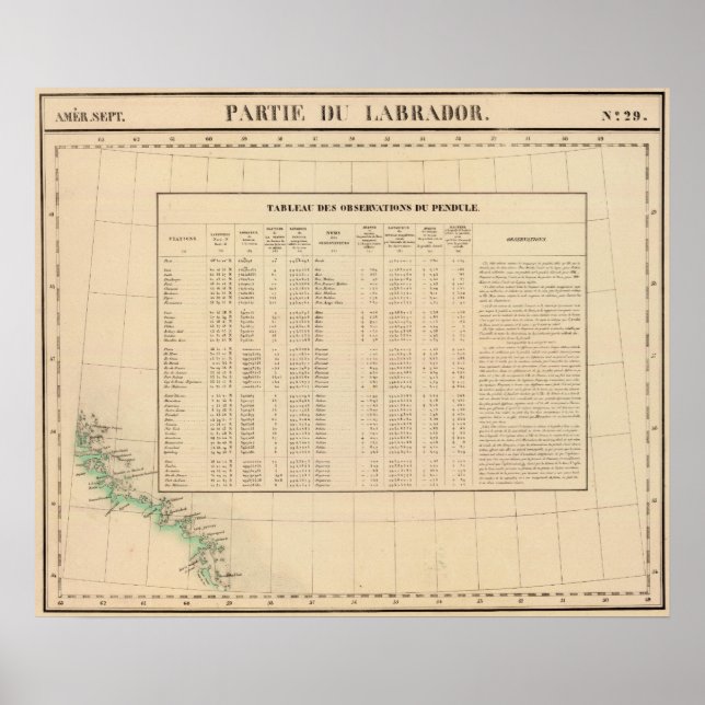 Poster Labrador 29 (Devant)