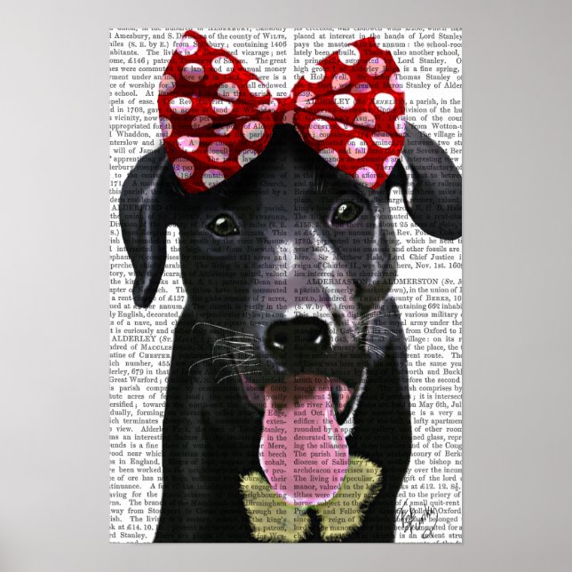 Poster Labrador Noir Avec Bois Rouge Sur La Tête (Devant)