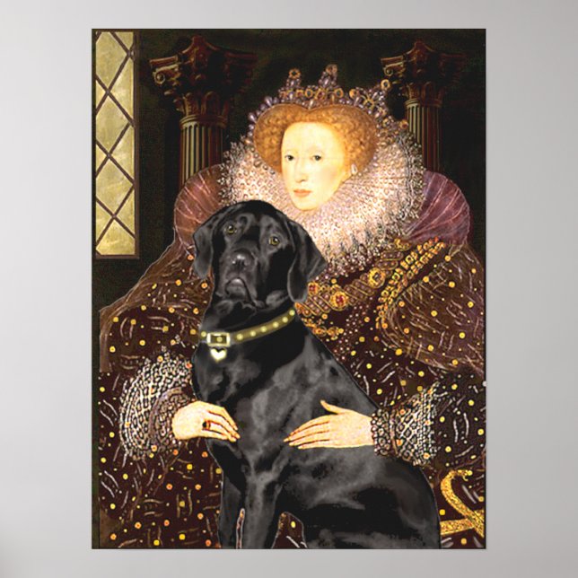 Poster Labrador (noir) - Reine (Devant)