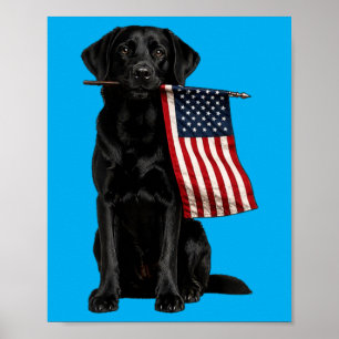 Poster Labrador noir tenant un drapeau américain drôle do