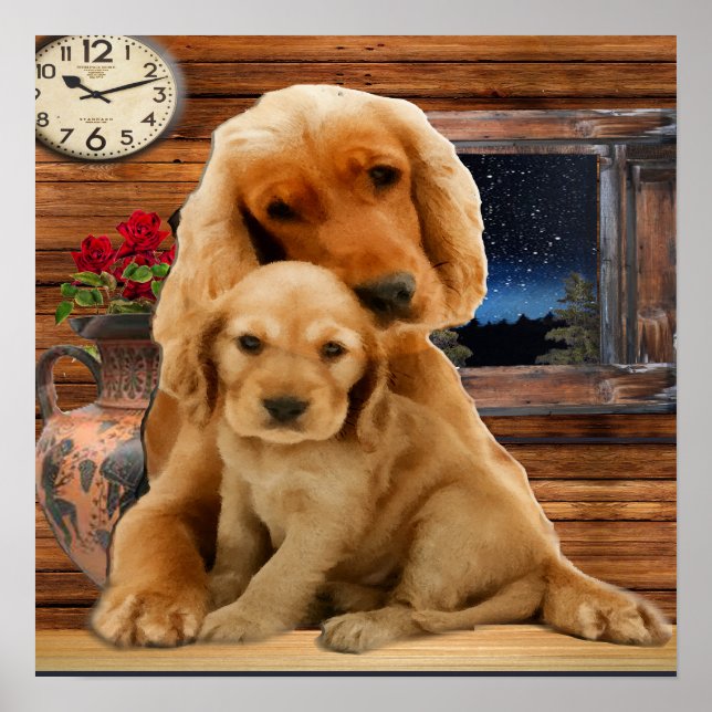Poster Labrador Retriever (Devant)