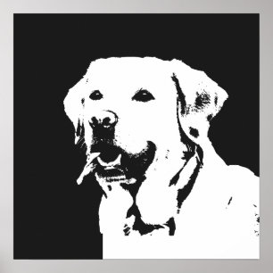 Poster Labrador Retriever