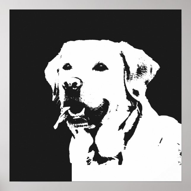 Poster Labrador Retriever (Devant)