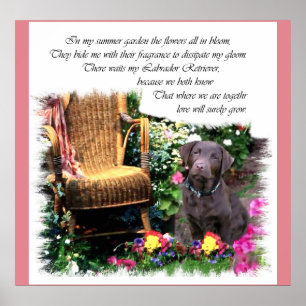 Poster Labrador Retriever Art Don