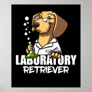 Poster Labrador Retriever Chien Chimie Enseignant en scie