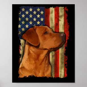 Poster Labrador Retriever Foxred Drapeau Américain Fox Re