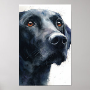 Poster Labrador retriever noir aquarelle