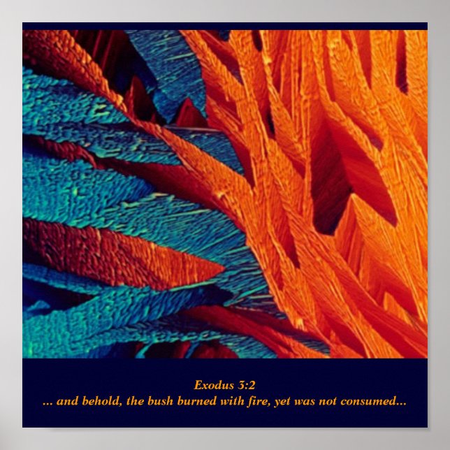 Poster L'Abstraite brûlante de Bush (Devant)