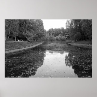 Poster Lac d'automne doré - Édition nordique noir et blan