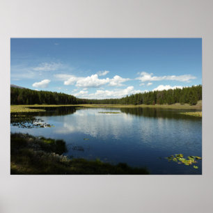 Poster Lac de cygne II du Parc national de Grand Teton