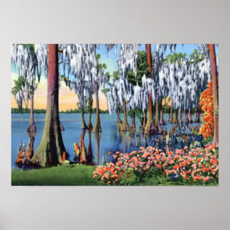 Poster Lac de Galles Floride Cypress marécage