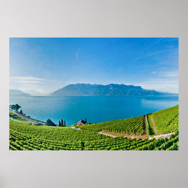 Poster Lac Léman 007 (Devant)