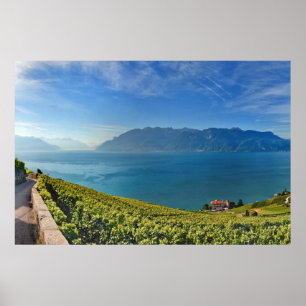 Poster Lac Léman 010