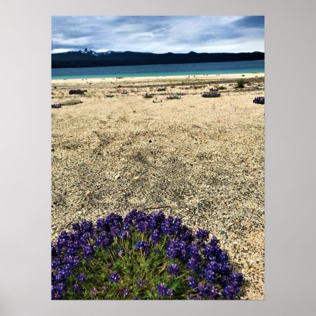 Poster Lac Simax Bay (Devant)
