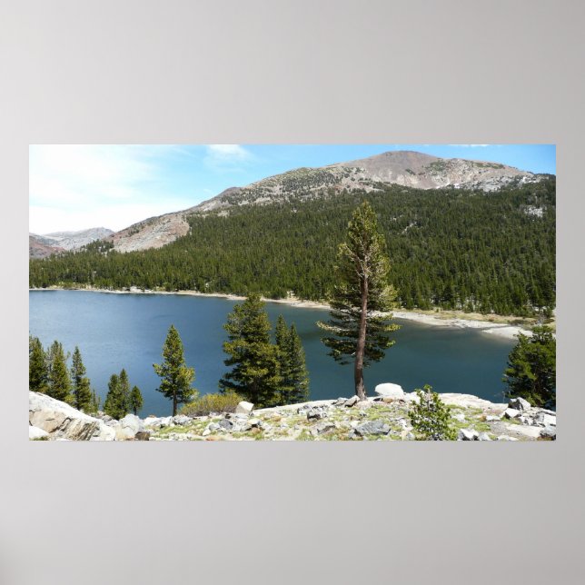 Poster Lac Tenaya dans le Parc national de Yosemite (Devant)