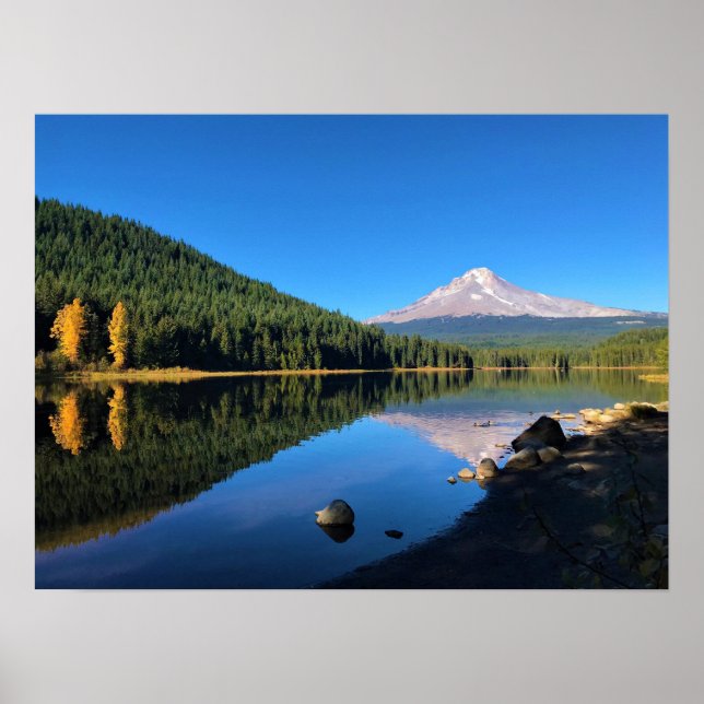 Poster Lac Trillium (Devant)