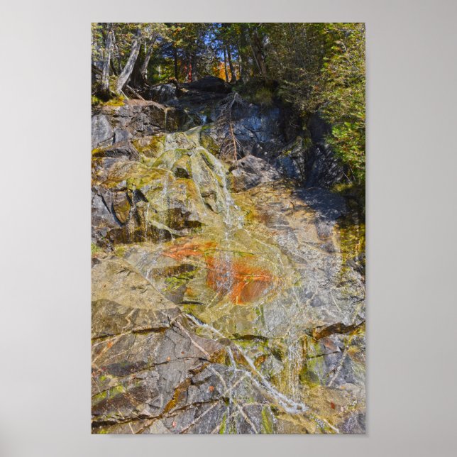 Poster Lac Willoughby Roadside Cascade, Vermont (Devant)